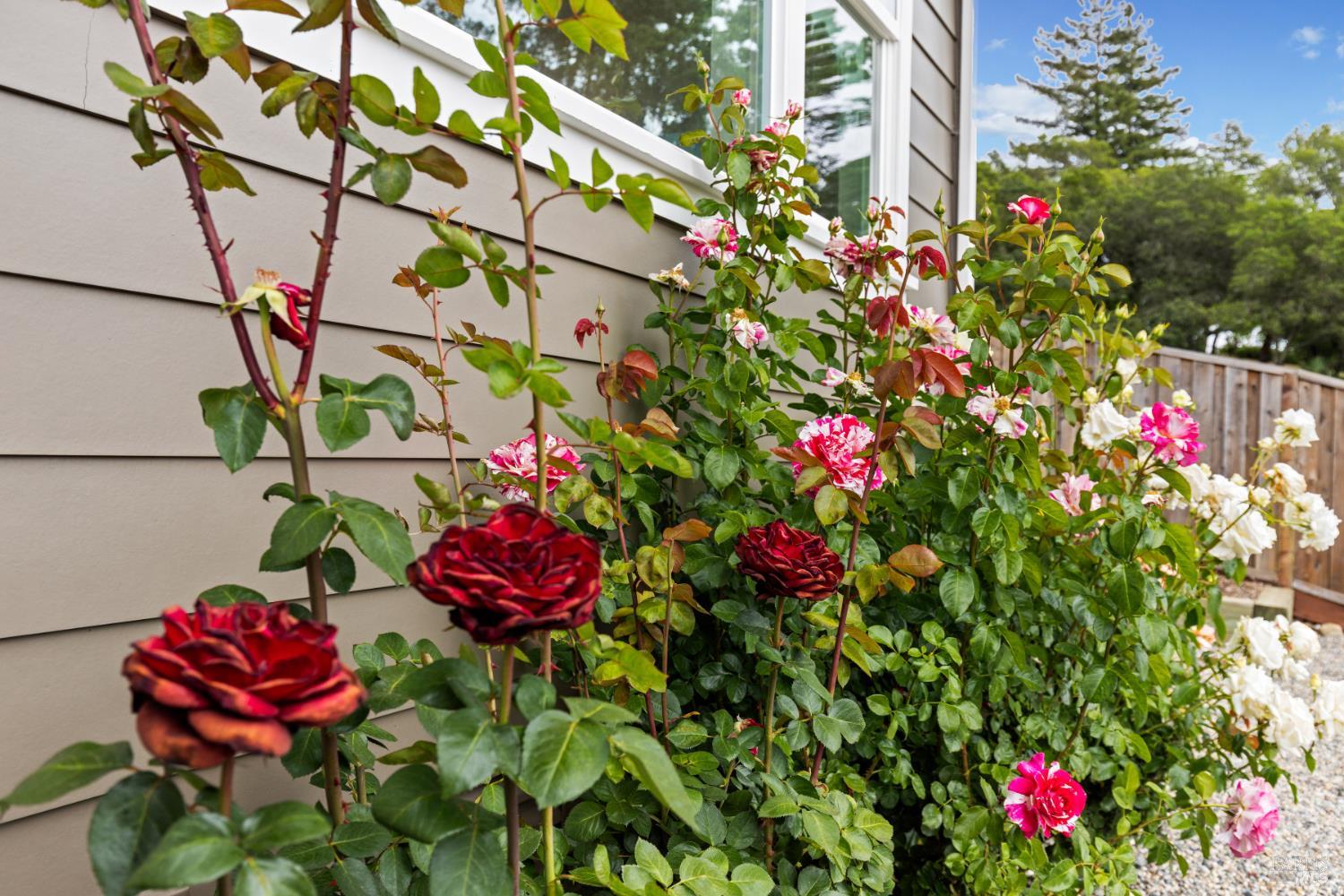 Detail Gallery Image 59 of 62 For 3393 Lake Park Ct, Santa Rosa,  CA 95403 - 5 Beds | 4/1 Baths