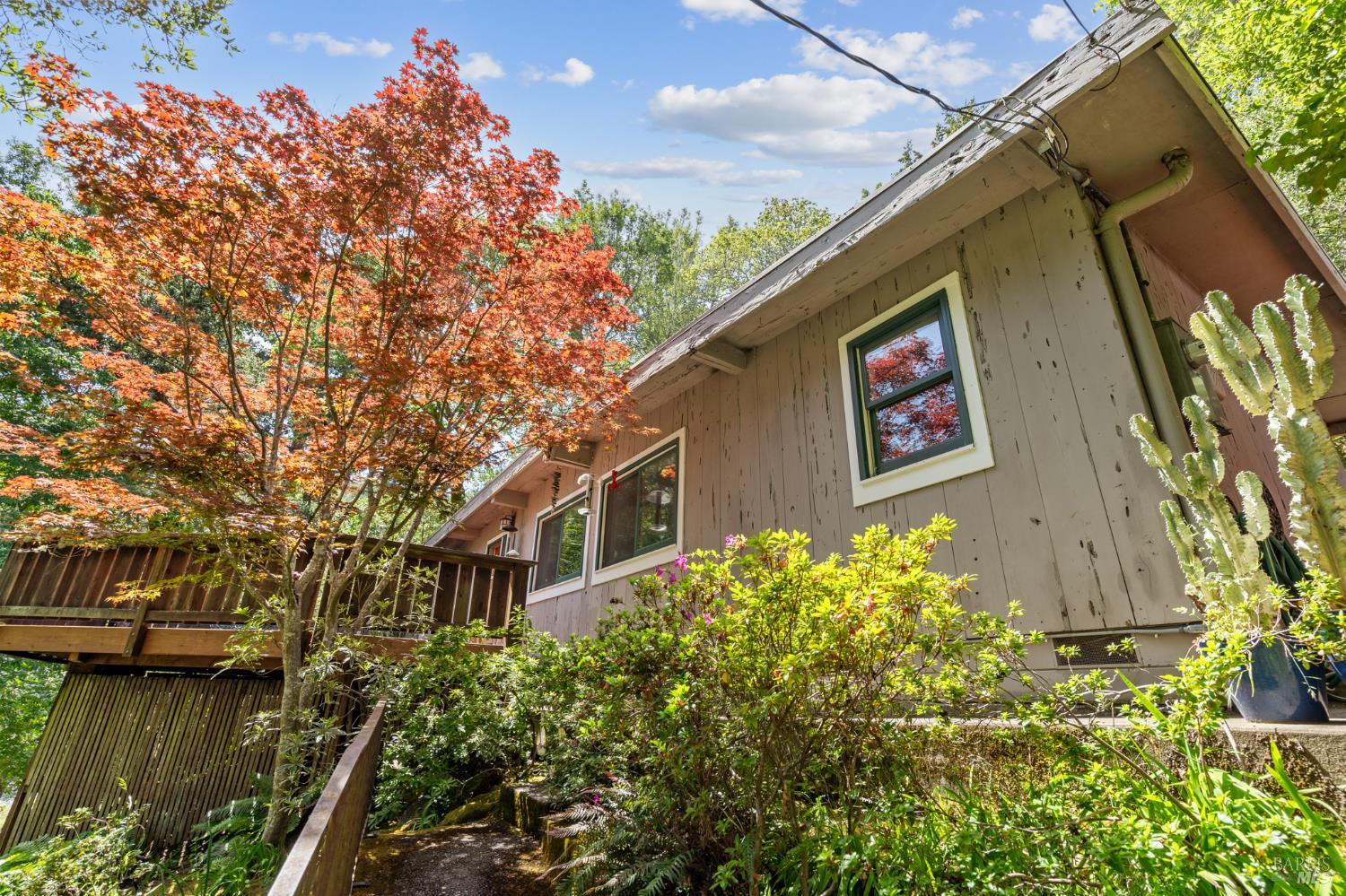 Detail Gallery Image 21 of 26 For 104 Murray Ave, Kentfield,  CA 94904 - 1 Beds | 1 Baths