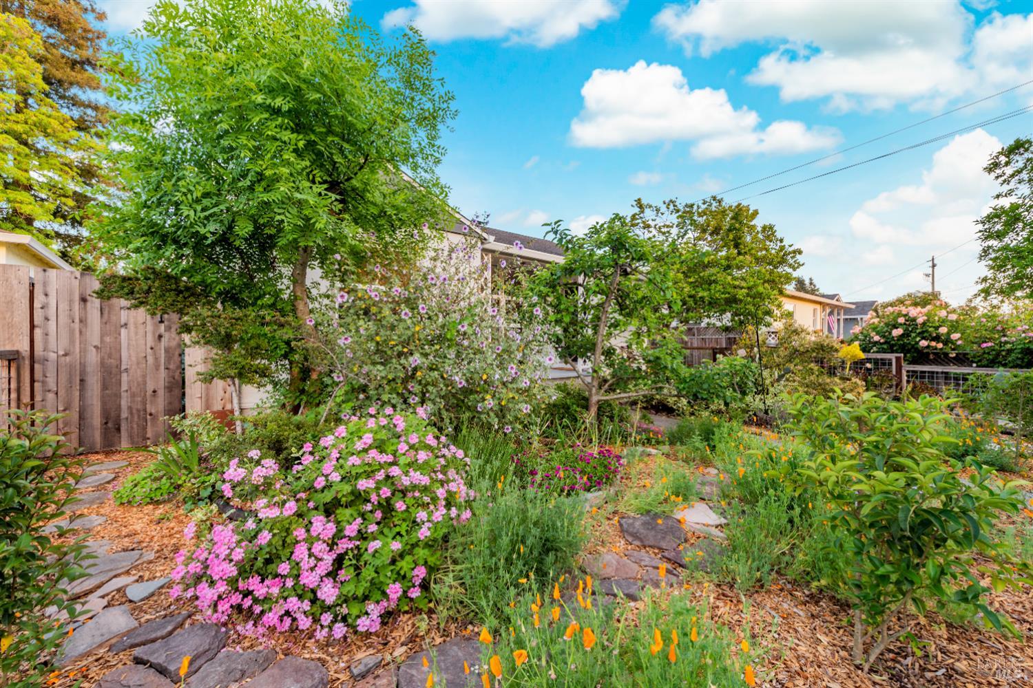 Detail Gallery Image 4 of 35 For 612 Madison St, Petaluma,  CA 94952 - 3 Beds | 2 Baths