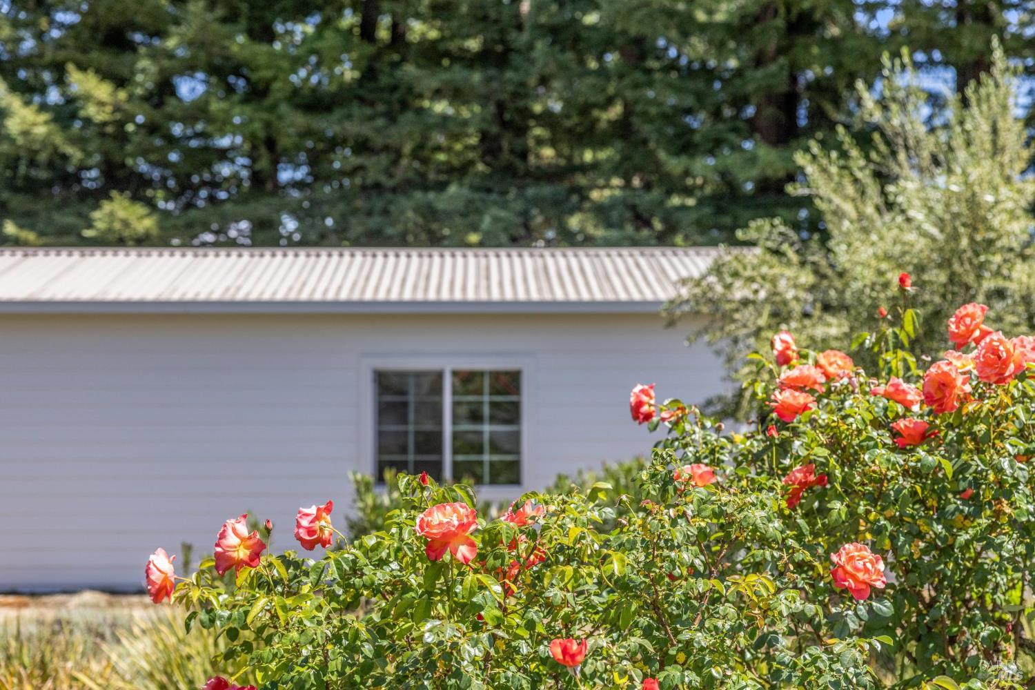 Detail Gallery Image 75 of 98 For 9724 Green Valley Rd, Sebastopol,  CA 95472 - 4 Beds | 3 Baths
