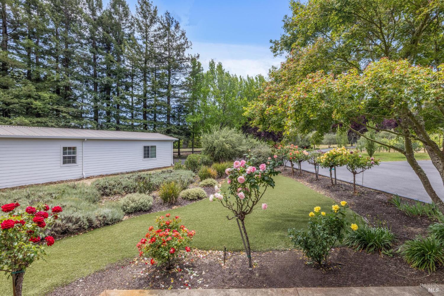 Detail Gallery Image 74 of 98 For 9724 Green Valley Rd, Sebastopol,  CA 95472 - 4 Beds | 3 Baths