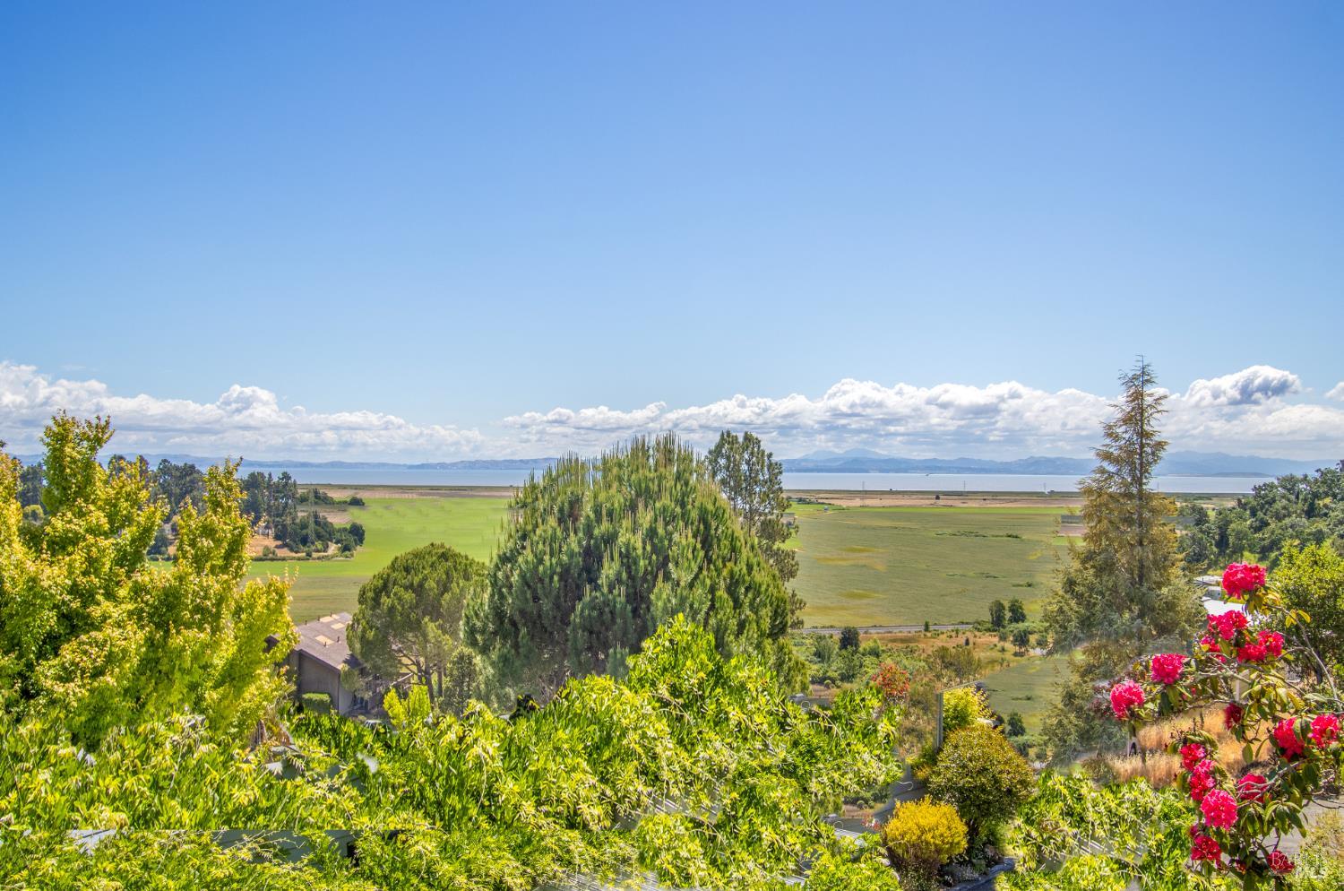 Detail Gallery Image 1 of 36 For 10 View Ridge Dr, Novato,  CA 94949 - 2 Beds | 2 Baths