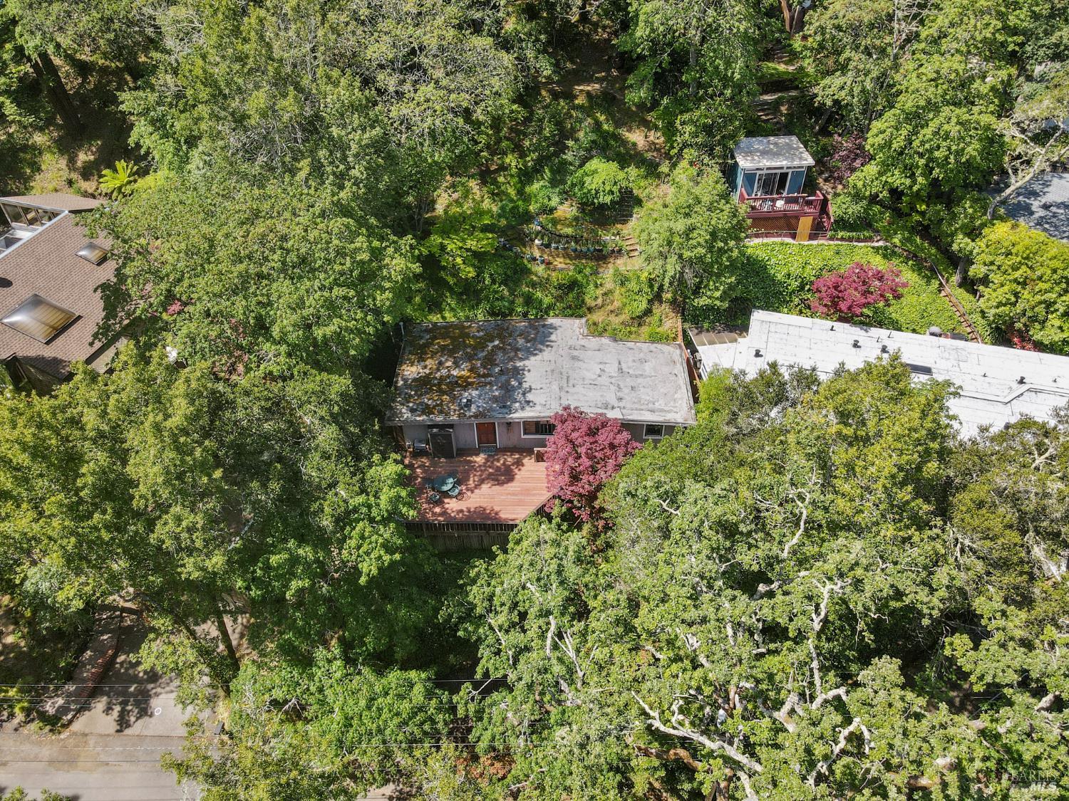 Detail Gallery Image 19 of 26 For 104 Murray Ave, Kentfield,  CA 94904 - 1 Beds | 1 Baths
