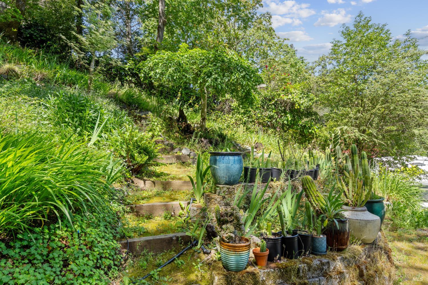 Detail Gallery Image 20 of 26 For 104 Murray Ave, Kentfield,  CA 94904 - 1 Beds | 1 Baths