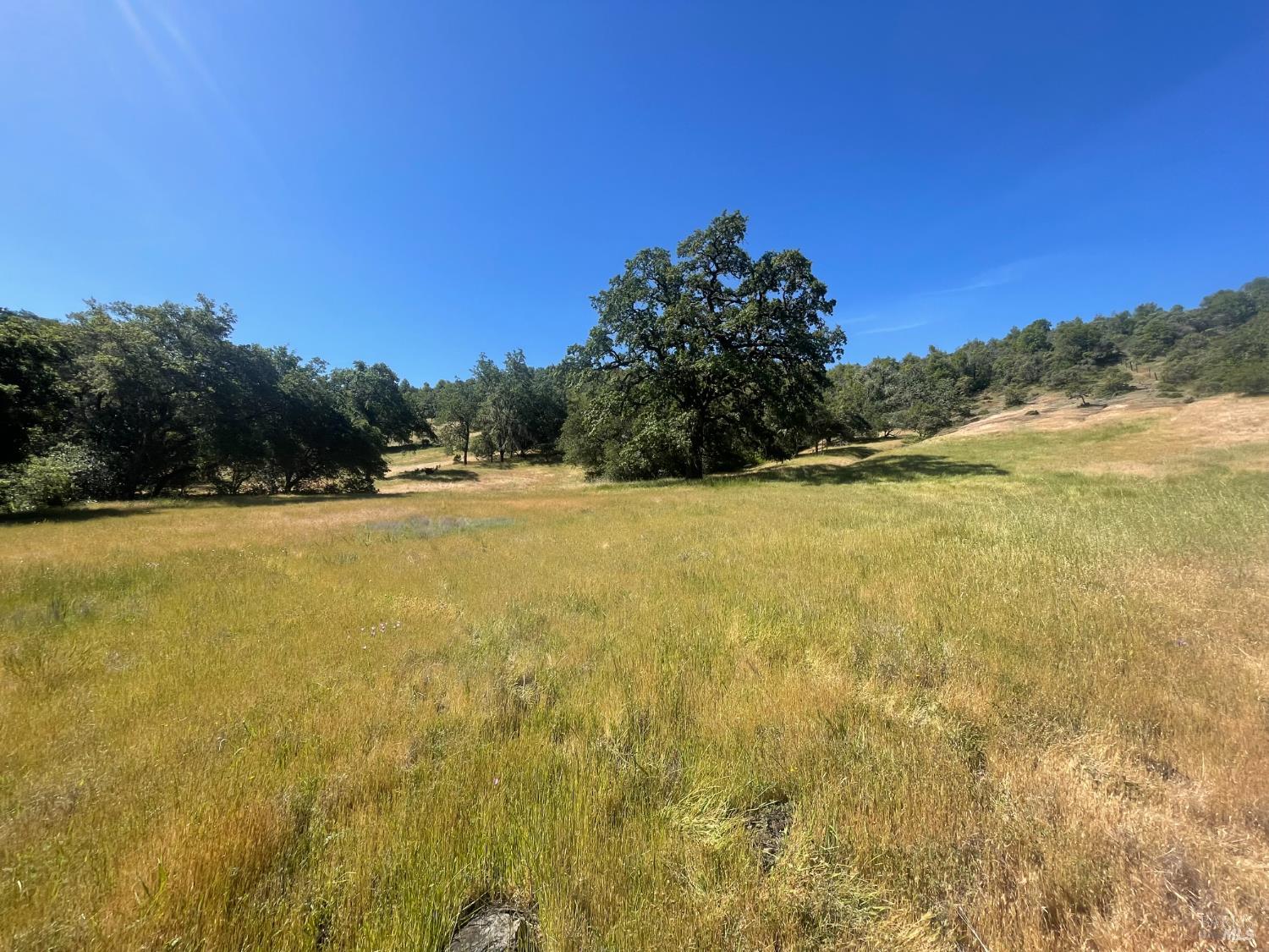 Detail Gallery Image 10 of 17 For 28365 Old Redwood Hwy, Cloverdale,  CA 95425 - – Beds | – Baths