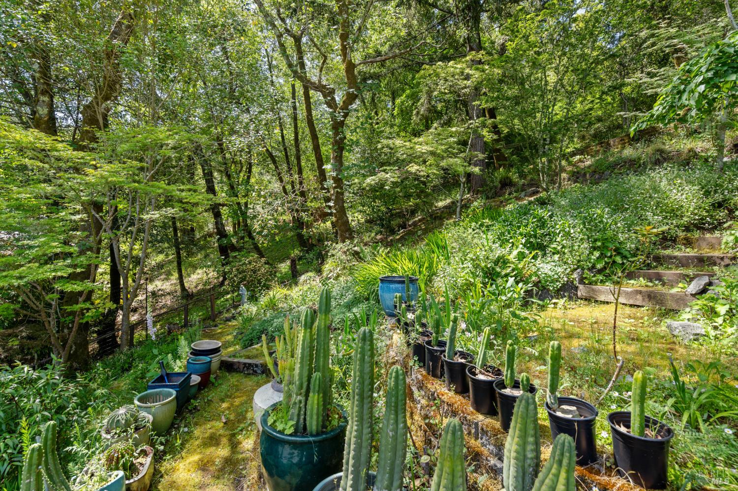 Detail Gallery Image 11 of 26 For 104 Murray Ave, Kentfield,  CA 94904 - 1 Beds | 1 Baths