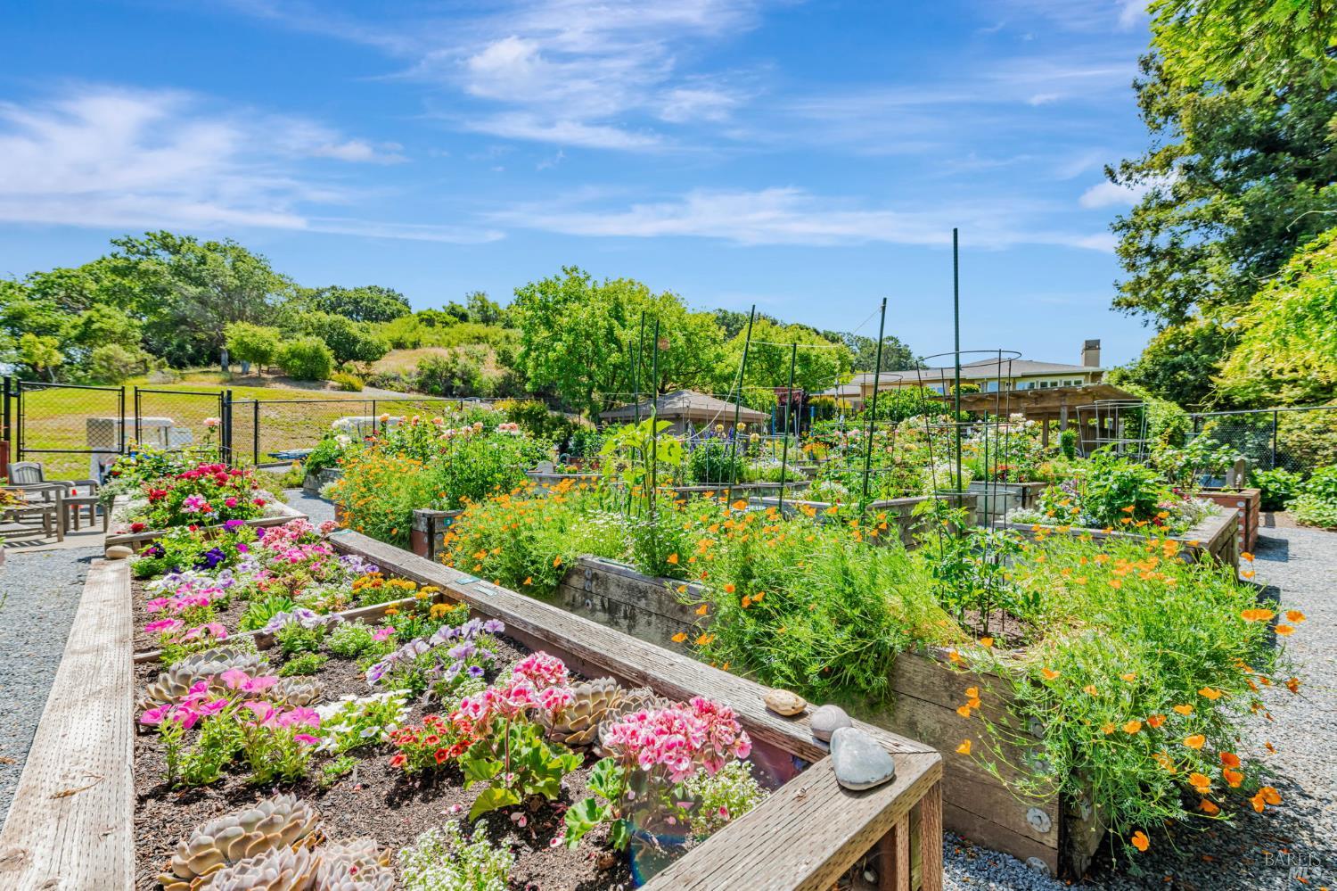 Detail Gallery Image 41 of 43 For 600 Deer Valley Rd 1e,  San Rafael,  CA 94903 - 2 Beds | 3 Baths
