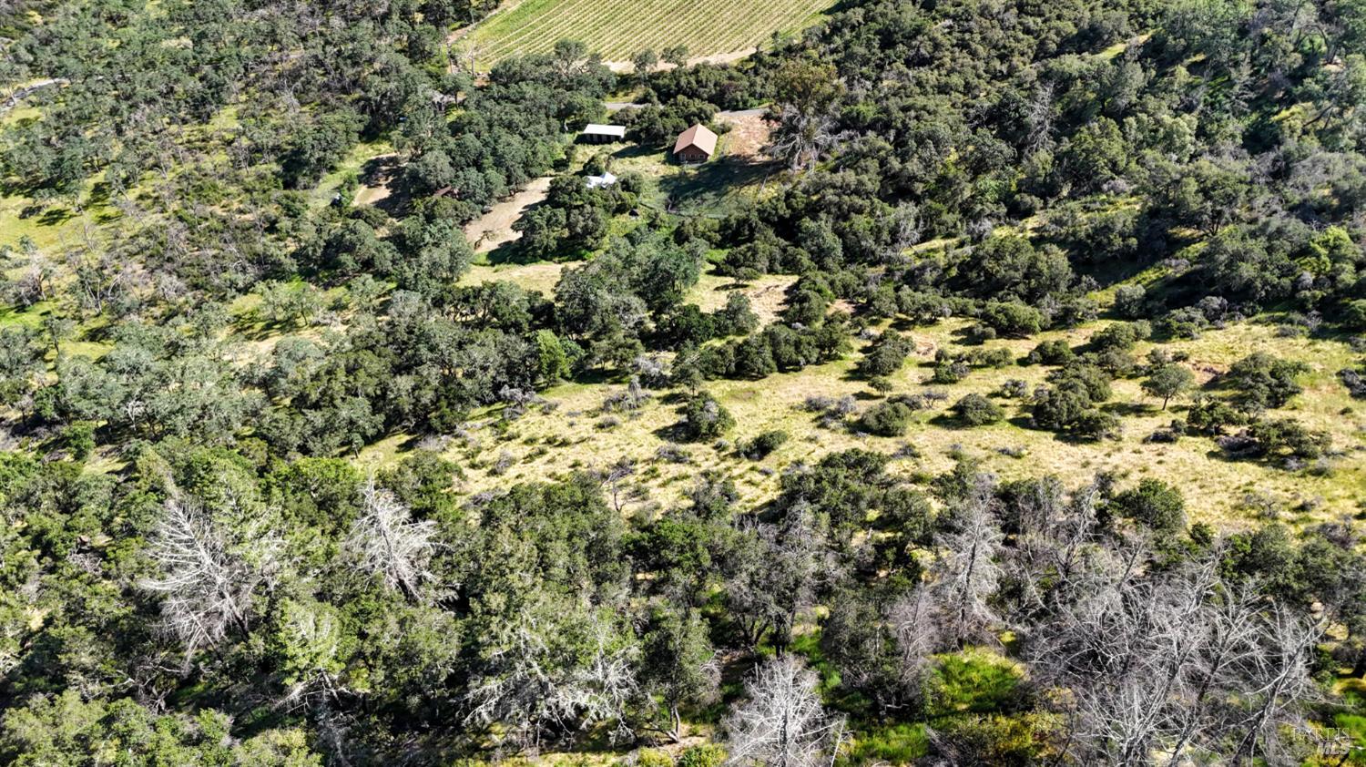 Detail Gallery Image 19 of 28 For 3321 Saint Helena Hwy, Saint Helena,  CA 94574 - 2 Beds | 2 Baths