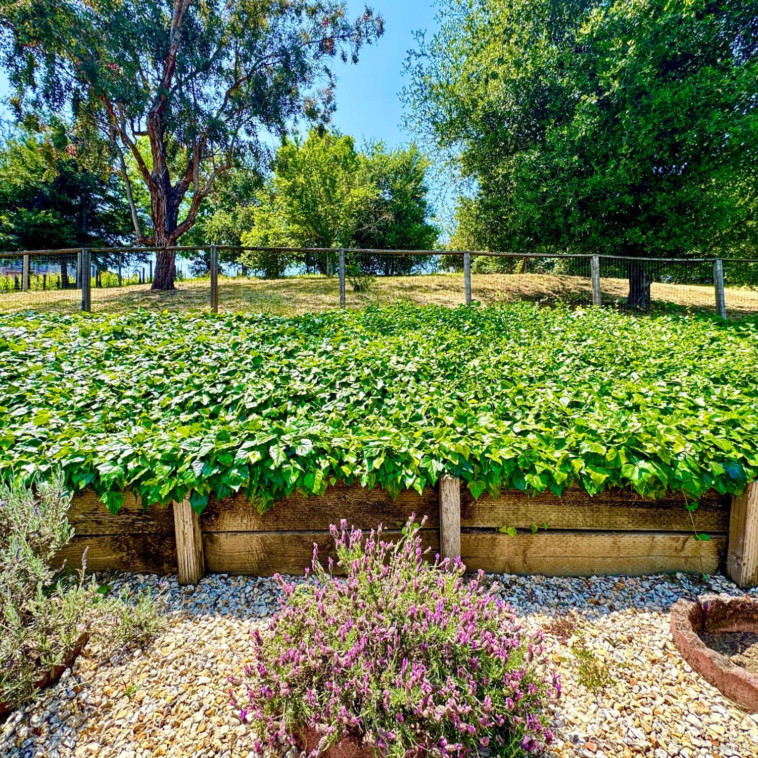 Detail Gallery Image 46 of 53 For 3319 David Dr, Napa,  CA 94558 - 4 Beds | 2 Baths