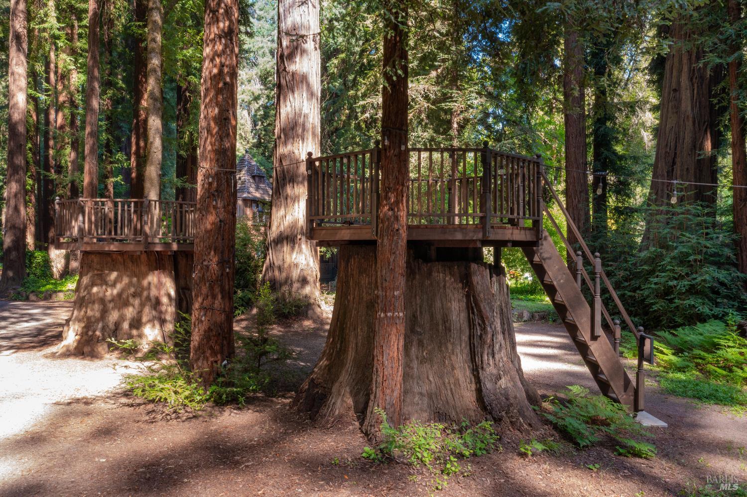 Detail Gallery Image 48 of 59 For 8790 Highway 128 Hwy, Philo,  CA 95466 - 14 Beds | 14 Baths