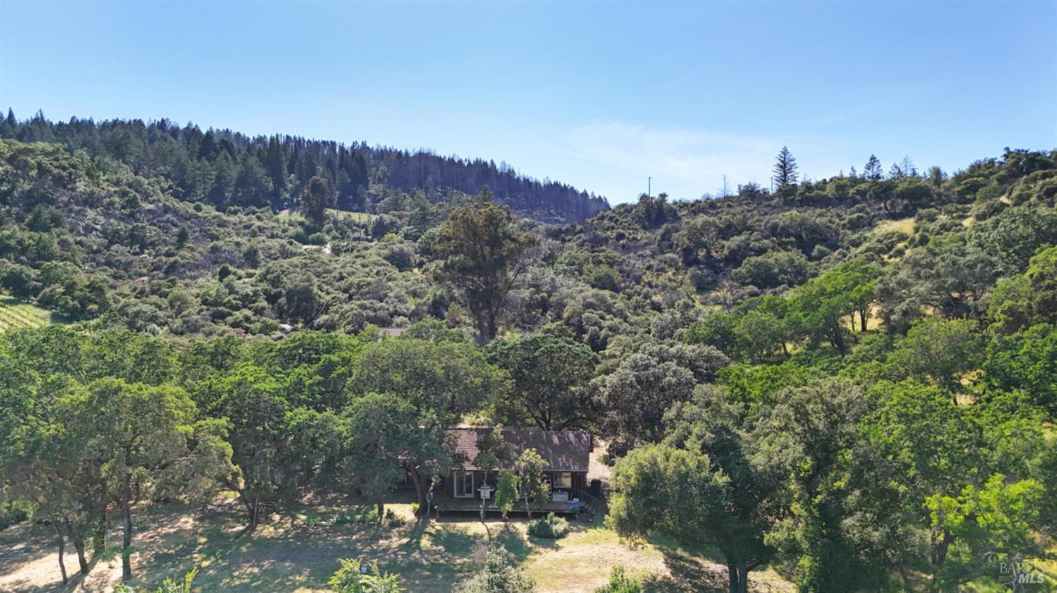Detail Gallery Image 7 of 28 For 3321 Saint Helena Hwy, Saint Helena,  CA 94574 - 2 Beds | 2 Baths