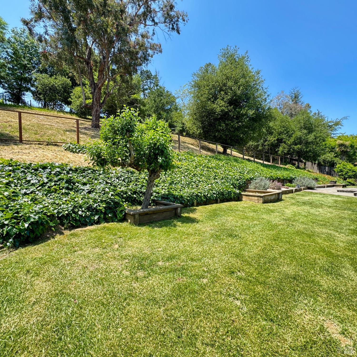 Detail Gallery Image 42 of 53 For 3319 David Dr, Napa,  CA 94558 - 4 Beds | 2 Baths
