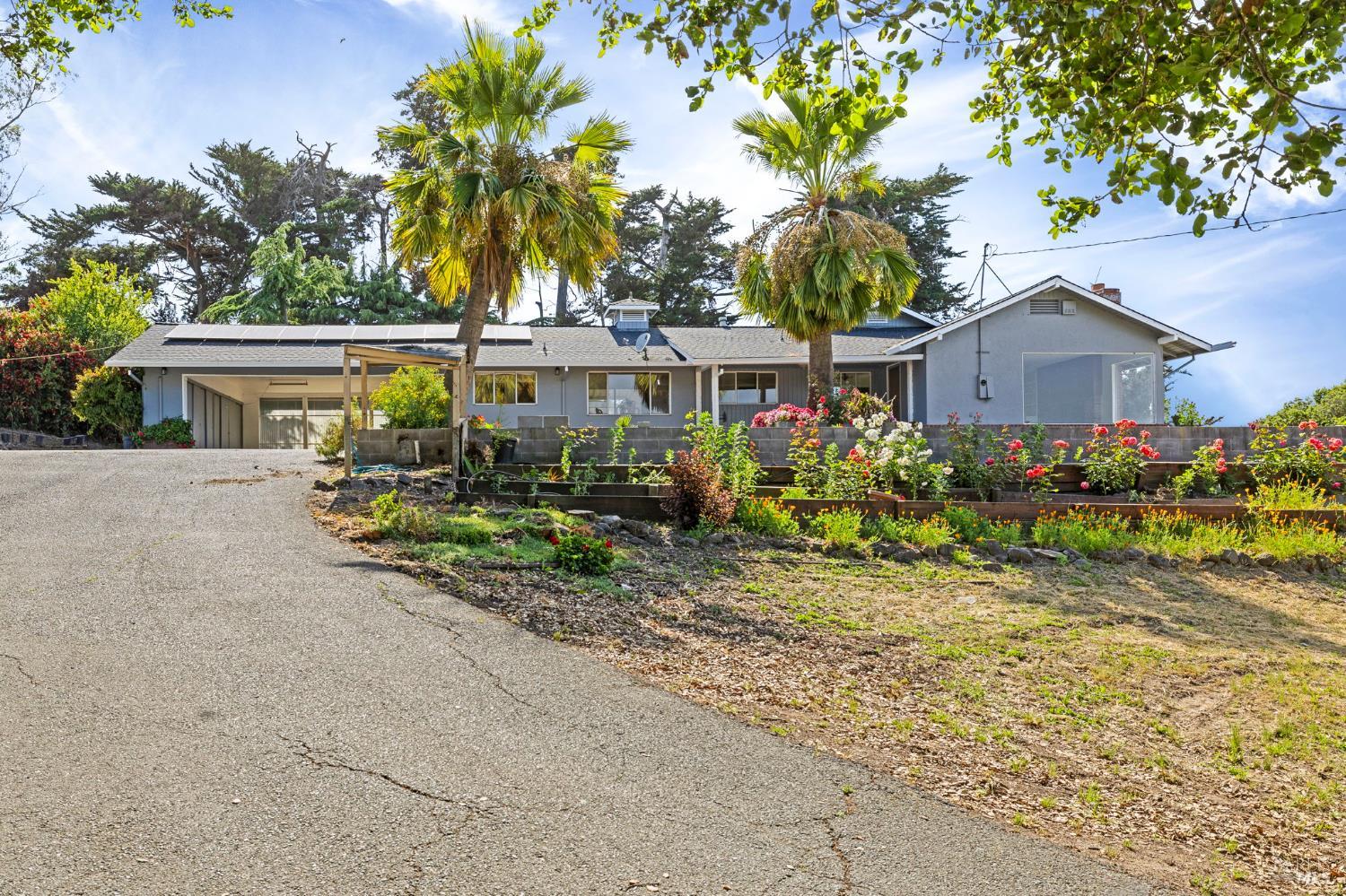Detail Gallery Image 48 of 61 For 4335 Bodega Ave, Petaluma,  CA 95942 - 4 Beds | 3/1 Baths