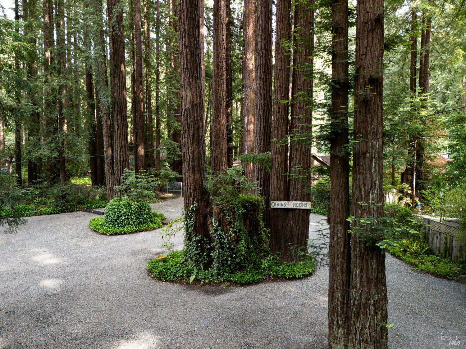 Detail Gallery Image 79 of 89 For 18 Wildwood Ln, Cazadero,  CA 95421 - 4 Beds | 3 Baths