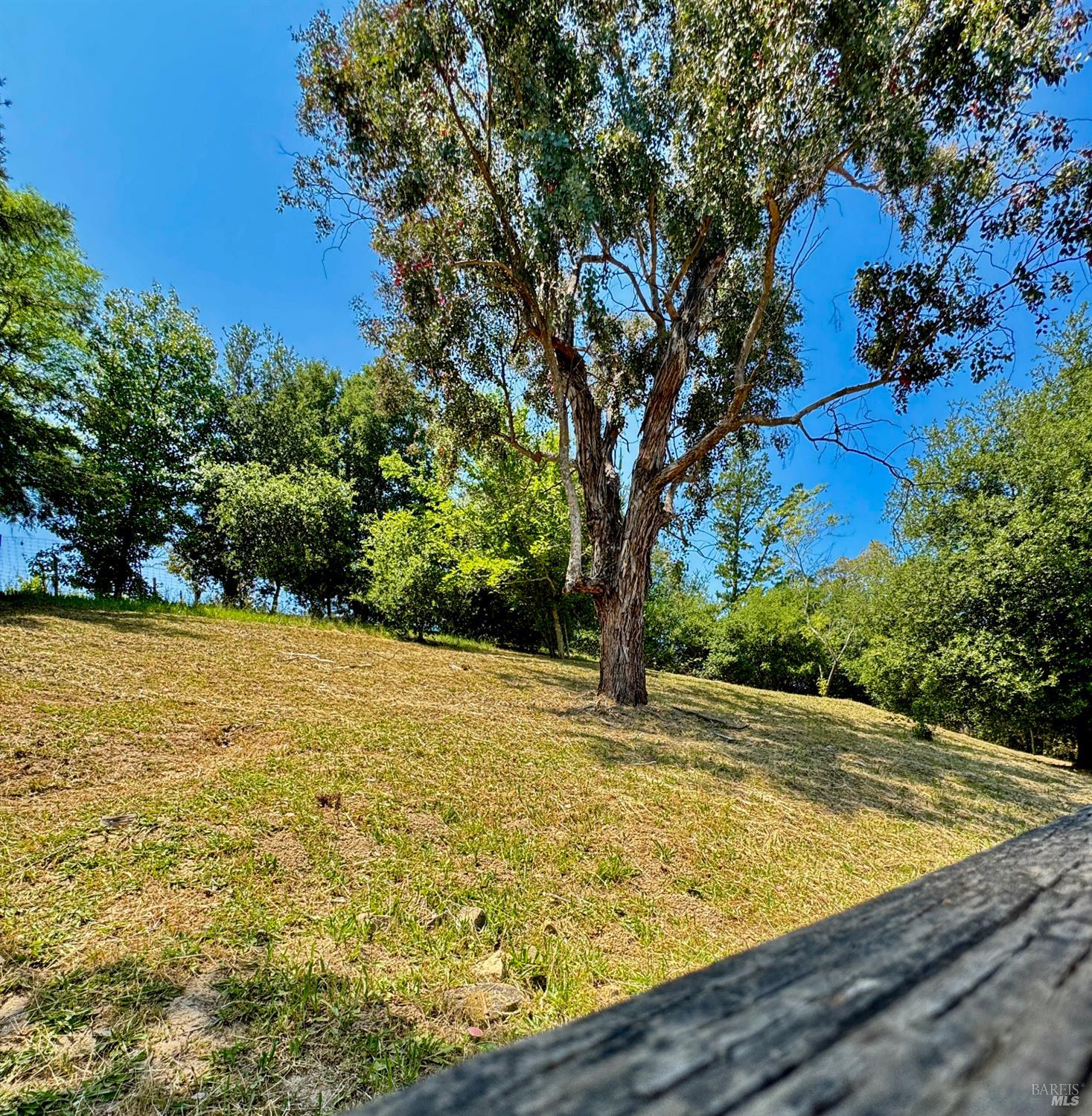Detail Gallery Image 41 of 53 For 3319 David Dr, Napa,  CA 94558 - 4 Beds | 2 Baths