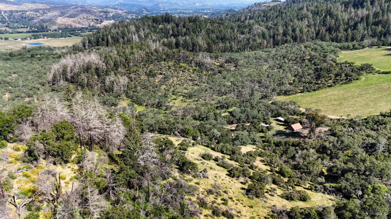 Detail Gallery Image 26 of 28 For 3321 Saint Helena Hwy, Saint Helena,  CA 94574 - 2 Beds | 2 Baths