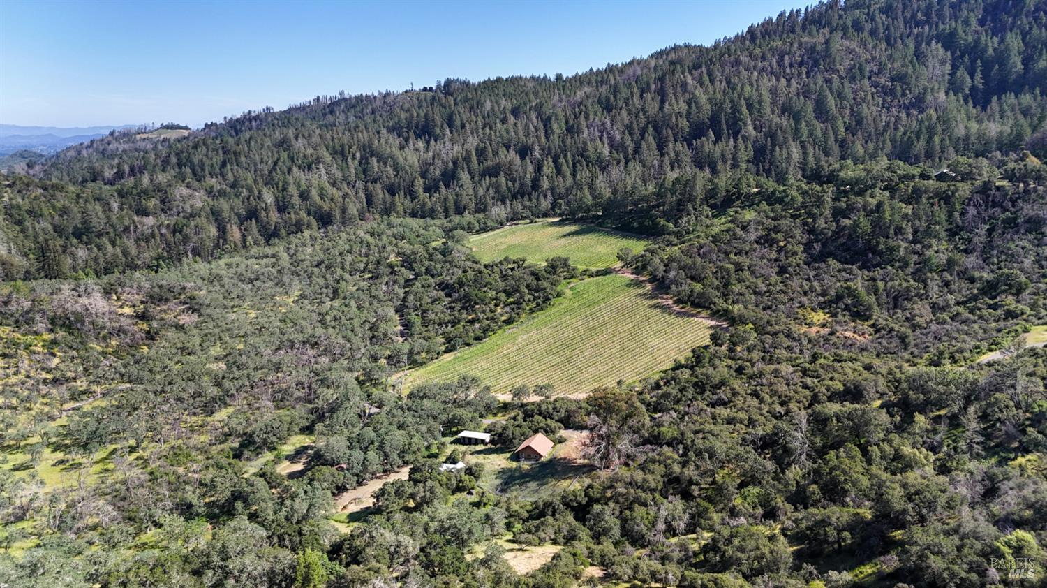 Detail Gallery Image 20 of 28 For 3321 Saint Helena Hwy, Saint Helena,  CA 94574 - 2 Beds | 2 Baths