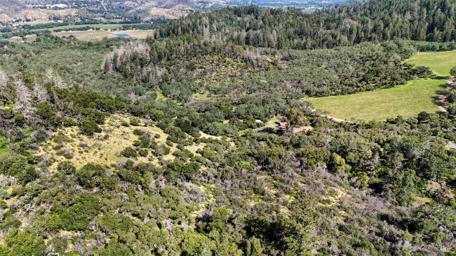 Detail Gallery Image 25 of 28 For 3321 Saint Helena Hwy, Saint Helena,  CA 94574 - 2 Beds | 2 Baths