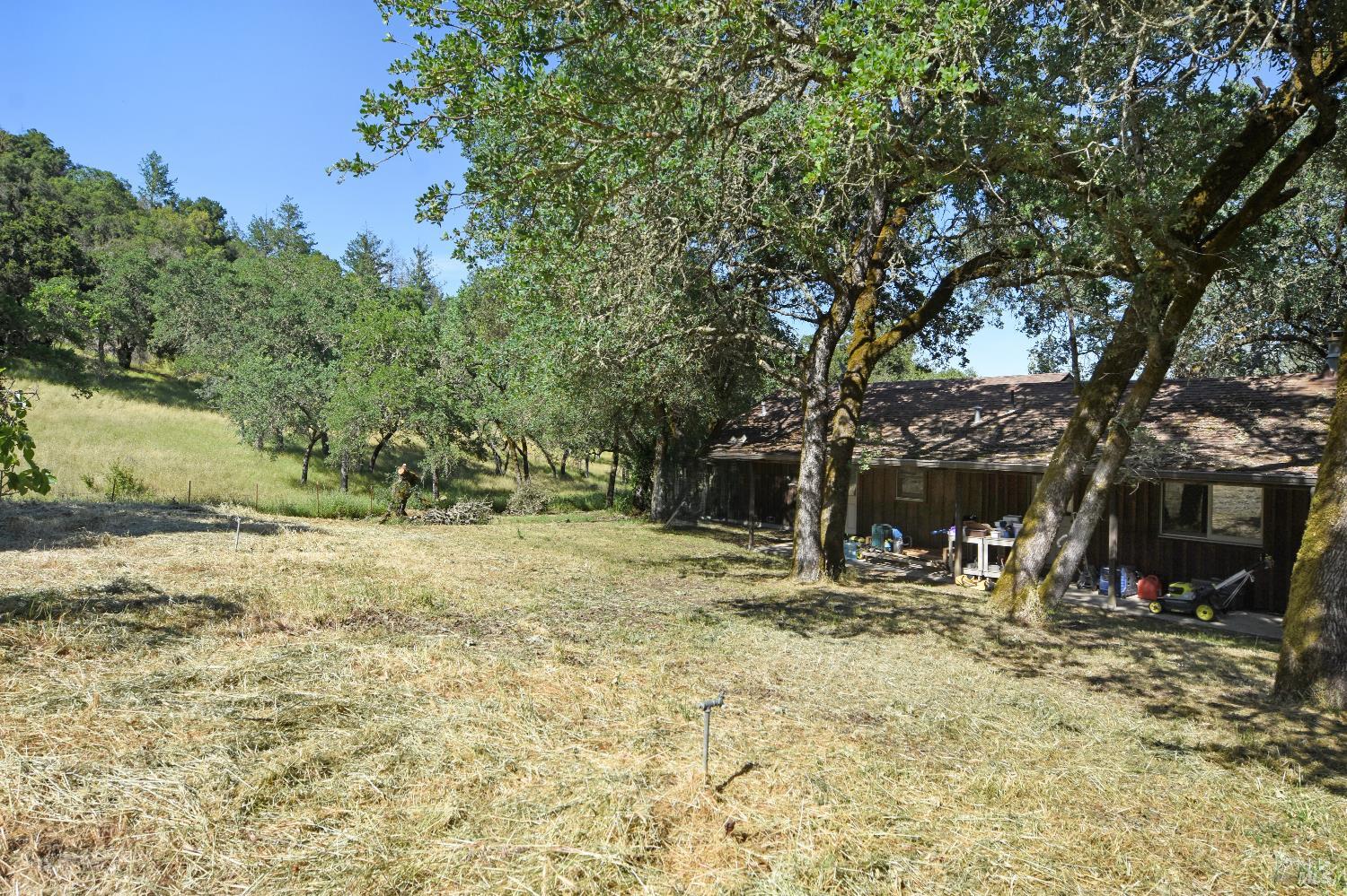 Detail Gallery Image 4 of 28 For 3321 Saint Helena Hwy, Saint Helena,  CA 94574 - 2 Beds | 2 Baths