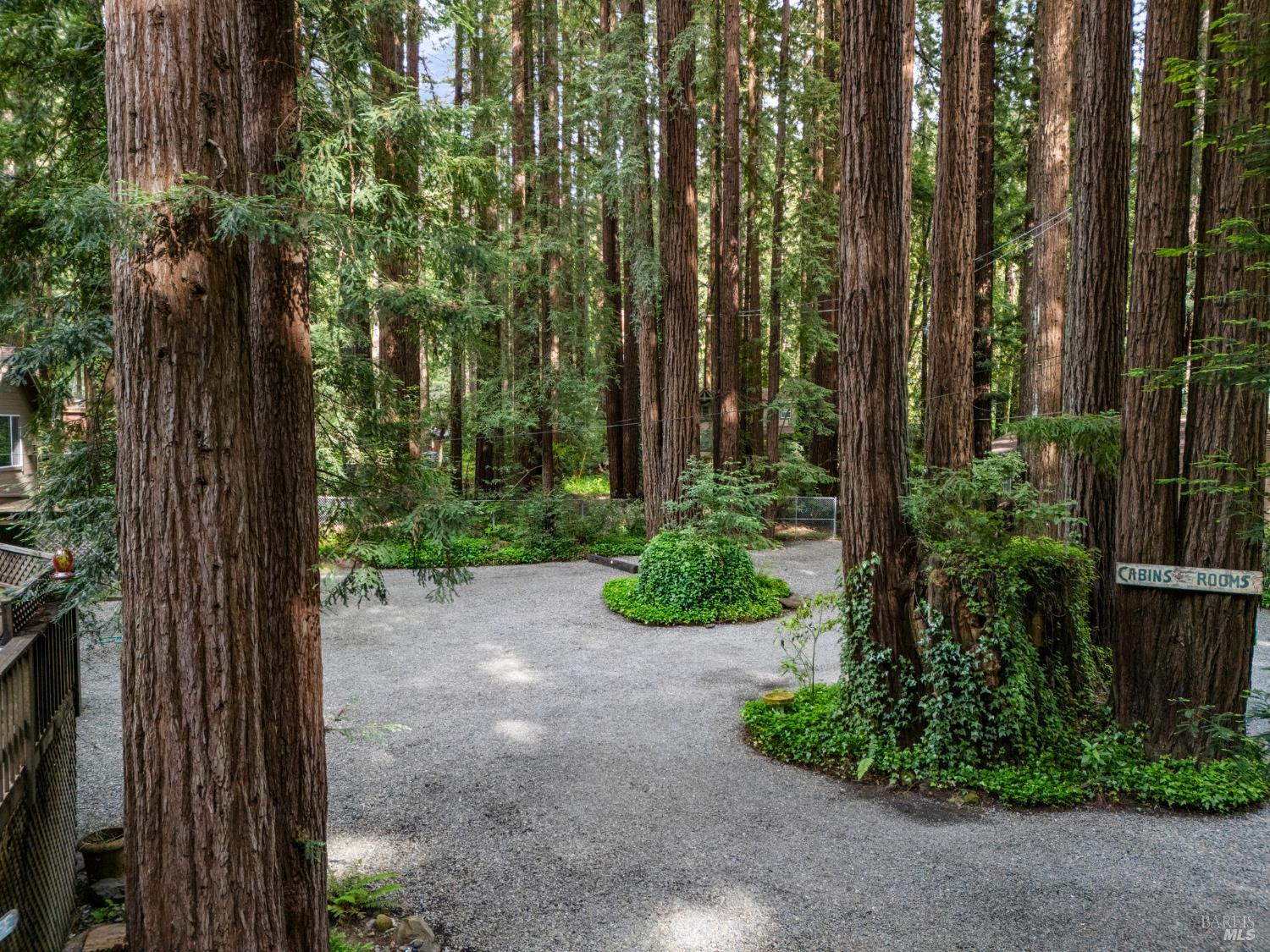 Detail Gallery Image 78 of 89 For 18 Wildwood Ln, Cazadero,  CA 95421 - 4 Beds | 3 Baths