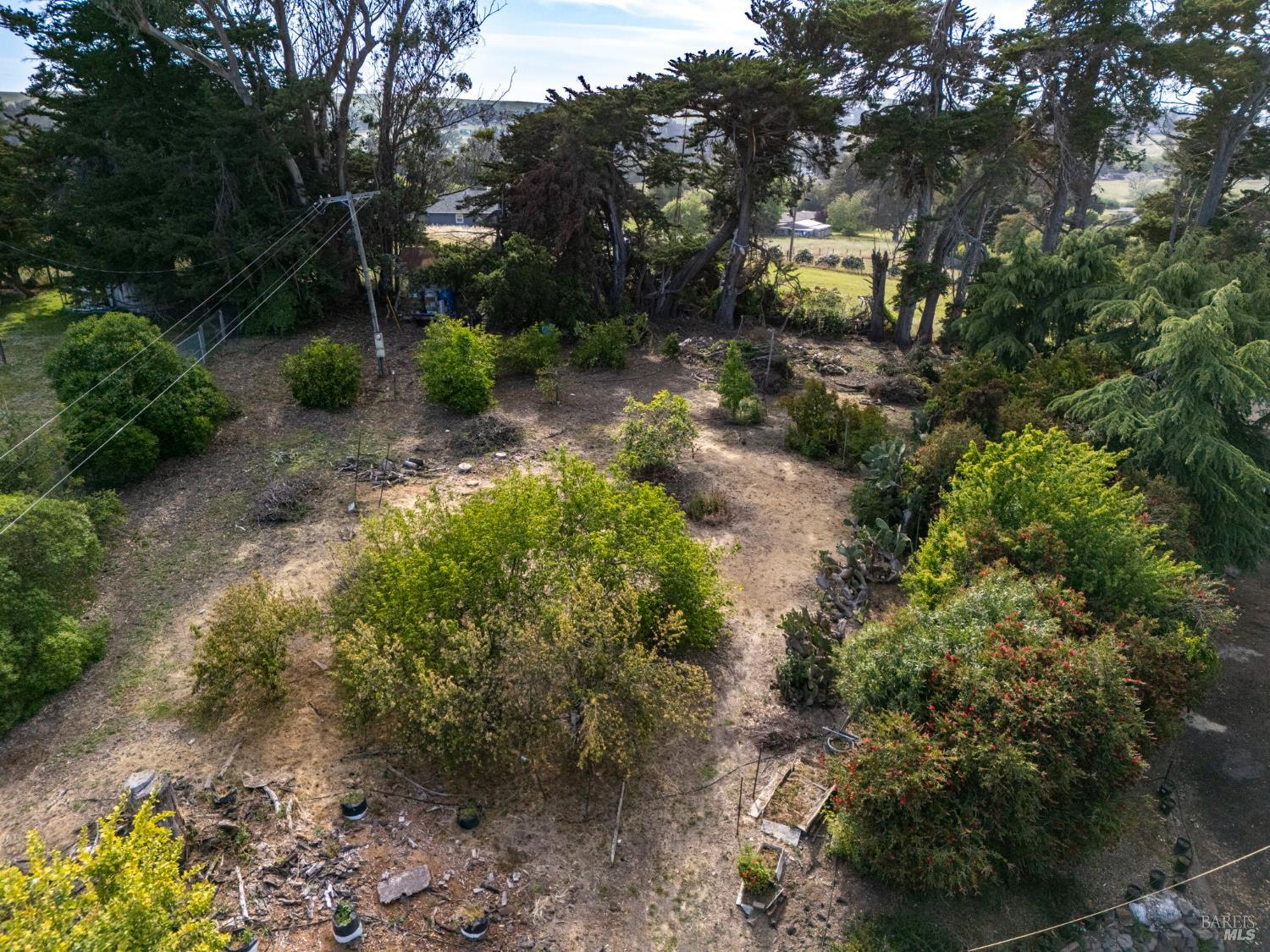 Detail Gallery Image 59 of 61 For 4335 Bodega Ave, Petaluma,  CA 95942 - 4 Beds | 3/1 Baths
