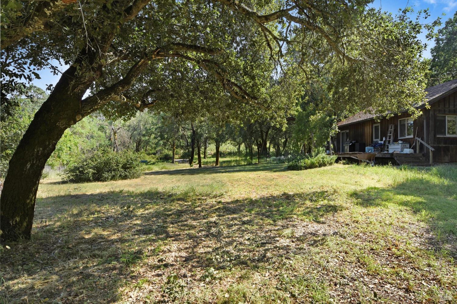 Detail Gallery Image 6 of 28 For 3321 Saint Helena Hwy, Saint Helena,  CA 94574 - 2 Beds | 2 Baths