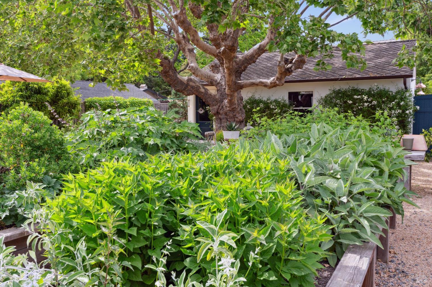 Detail Gallery Image 64 of 97 For 549 Talbot Ave, Santa Rosa,  CA 95405 - 2 Beds | 1/1 Baths
