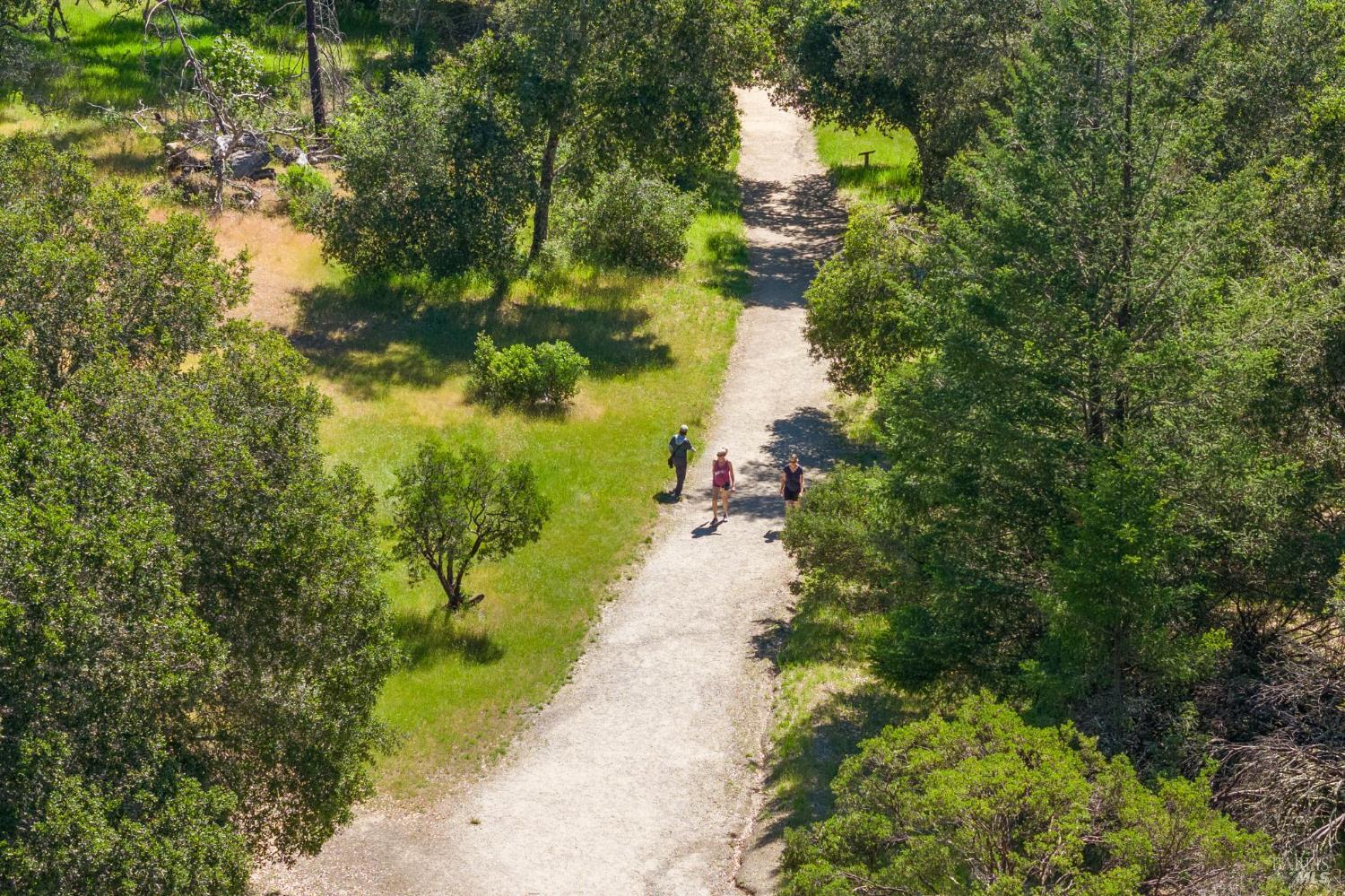 Detail Gallery Image 70 of 72 For 4100 Petrified Forest Rd, Calistoga,  CA 94515 - – Beds | – Baths