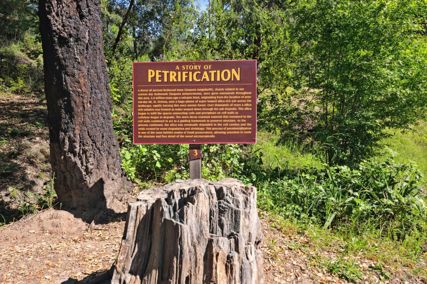 Detail Gallery Image 61 of 72 For 4100 Petrified Forest Rd, Calistoga,  CA 94515 - – Beds | – Baths