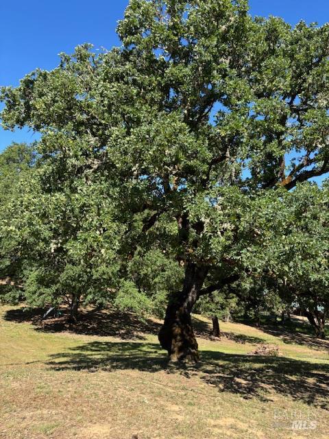 Detail Gallery Image 52 of 61 For 1181 Boonville Rd, Ukiah,  CA 95482 - 4 Beds | 3 Baths