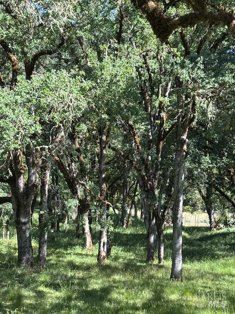 Detail Gallery Image 57 of 61 For 1181 Boonville Rd, Ukiah,  CA 95482 - 4 Beds | 3 Baths
