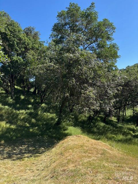 Detail Gallery Image 46 of 61 For 1181 Boonville Rd, Ukiah,  CA 95482 - 4 Beds | 3 Baths