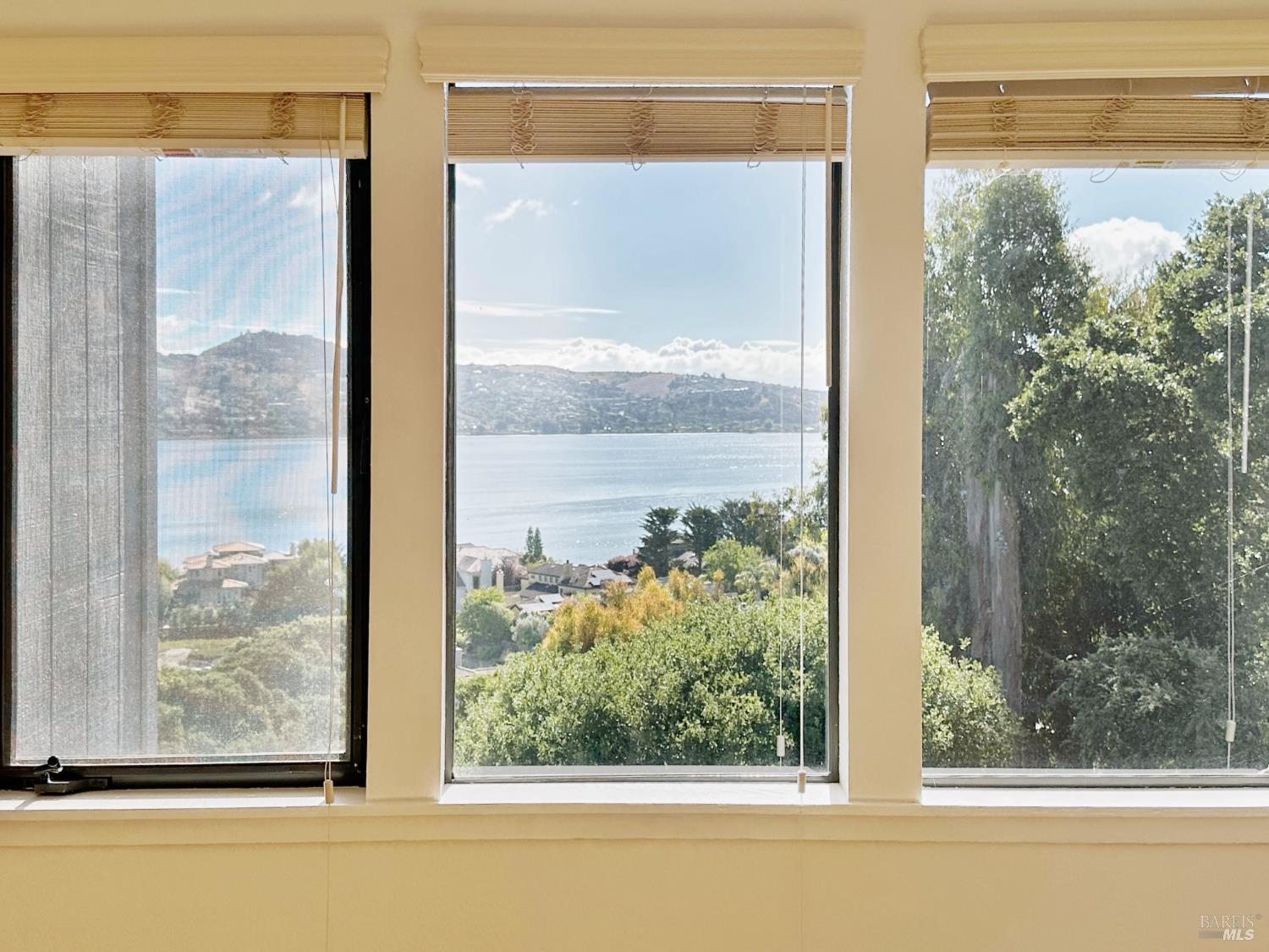 Detail Gallery Image 61 of 84 For 172 Great Circle Dr, Mill Valley,  CA 94941 - 4 Beds | 2/1 Baths