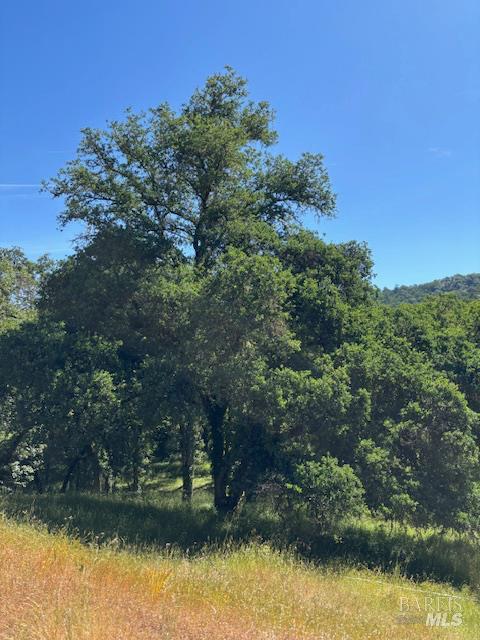 Detail Gallery Image 61 of 61 For 1181 Boonville Rd, Ukiah,  CA 95482 - 4 Beds | 3 Baths
