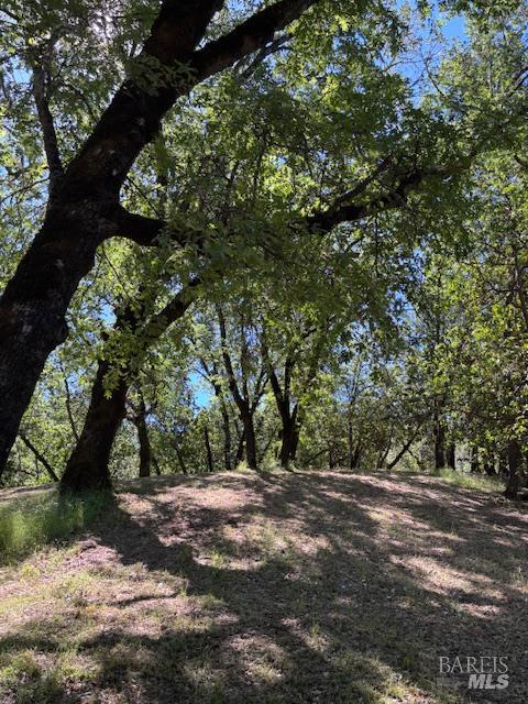Detail Gallery Image 50 of 61 For 1181 Boonville Rd, Ukiah,  CA 95482 - 4 Beds | 3 Baths