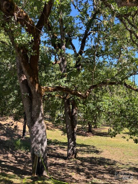 Detail Gallery Image 44 of 61 For 1181 Boonville Rd, Ukiah,  CA 95482 - 4 Beds | 3 Baths