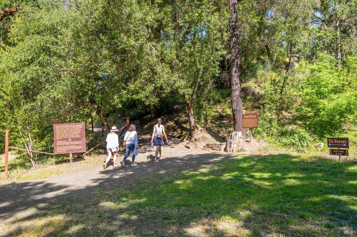 Detail Gallery Image 56 of 72 For 4100 Petrified Forest Rd, Calistoga,  CA 94515 - – Beds | – Baths