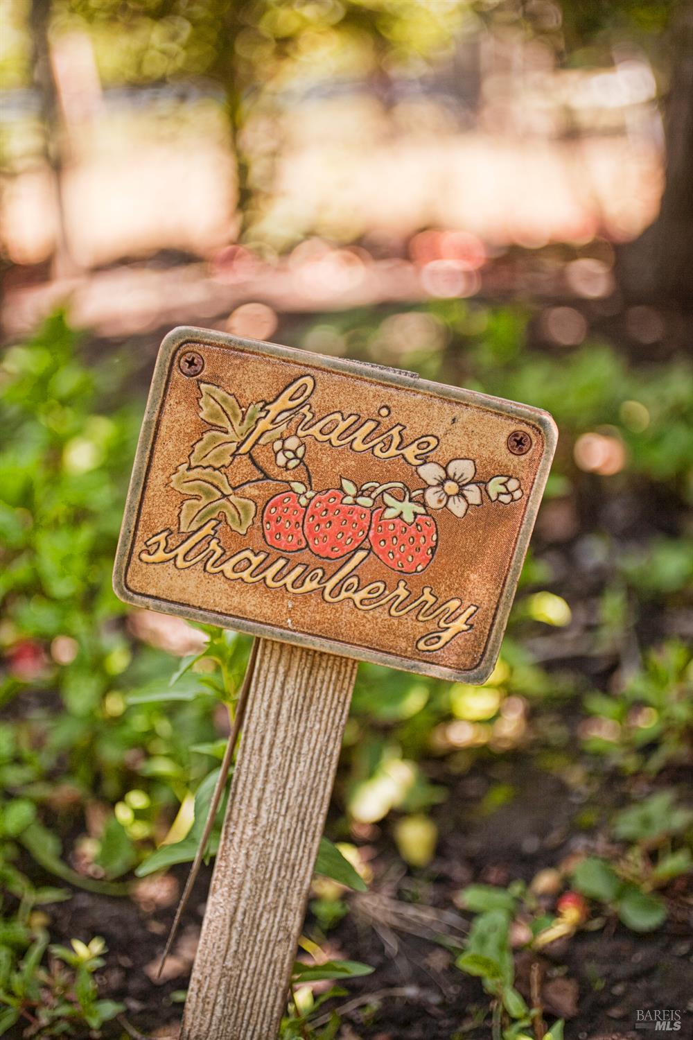 Detail Gallery Image 49 of 52 For 430 Pratt Ave, Saint Helena,  CA 94574 - 4 Beds | 4 Baths