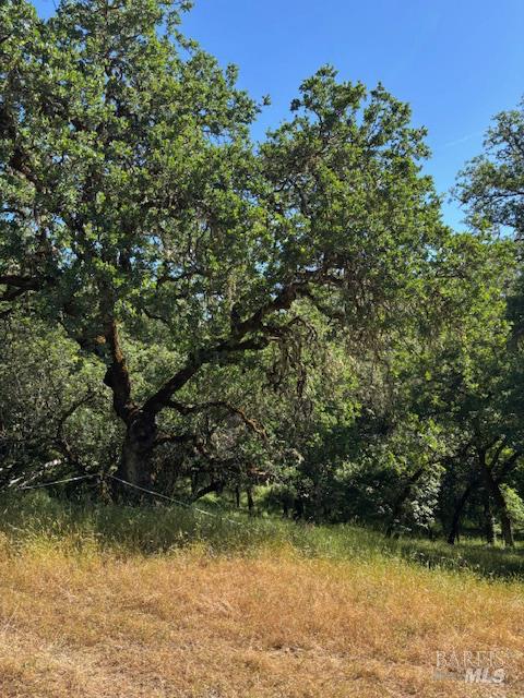 Detail Gallery Image 55 of 61 For 1181 Boonville Rd, Ukiah,  CA 95482 - 4 Beds | 3 Baths