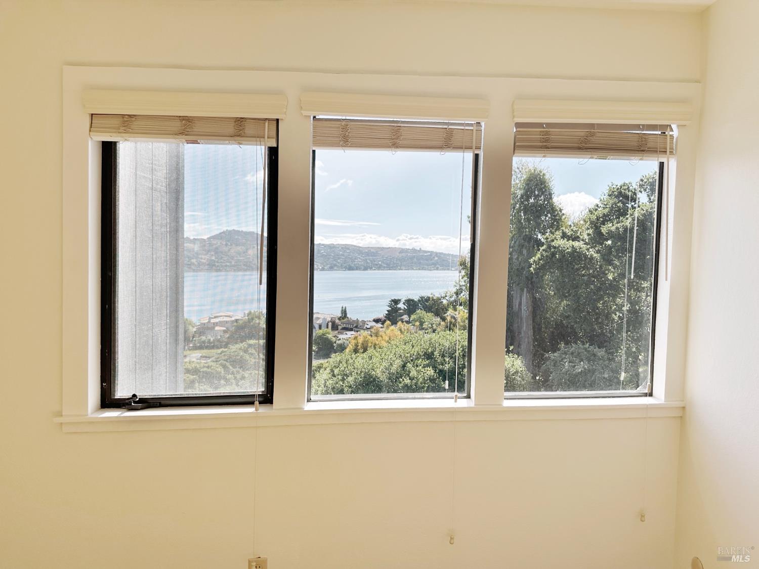 Detail Gallery Image 60 of 84 For 172 Great Circle Dr, Mill Valley,  CA 94941 - 4 Beds | 2/1 Baths