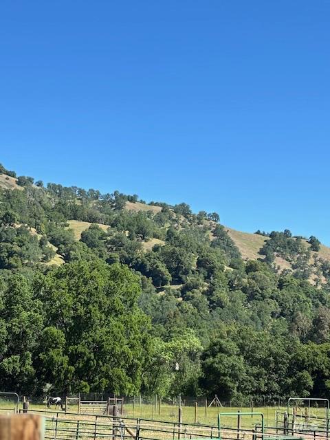 Detail Gallery Image 54 of 61 For 1181 Boonville Rd, Ukiah,  CA 95482 - 4 Beds | 3 Baths