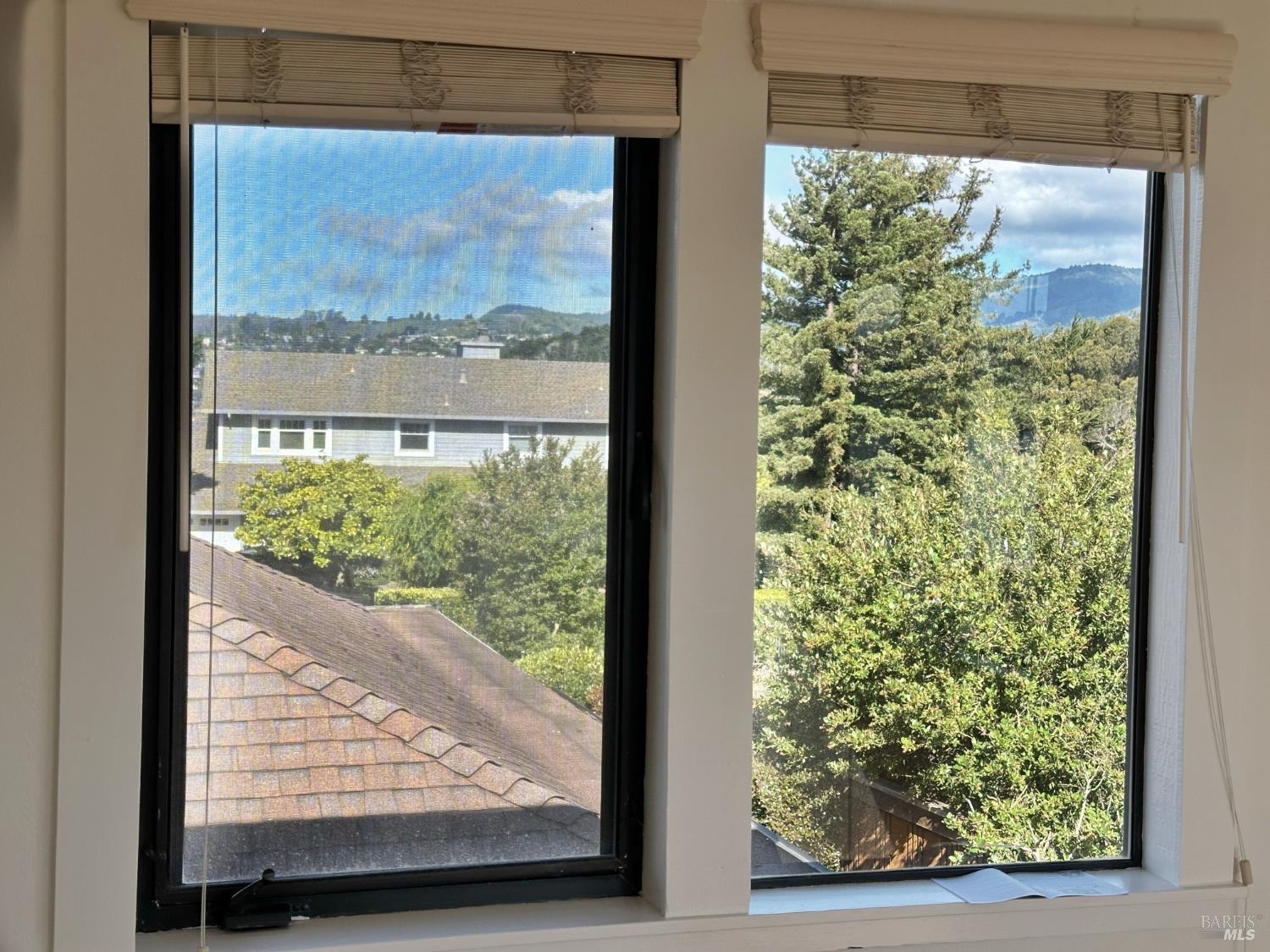 Detail Gallery Image 66 of 84 For 172 Great Circle Dr, Mill Valley,  CA 94941 - 4 Beds | 2/1 Baths