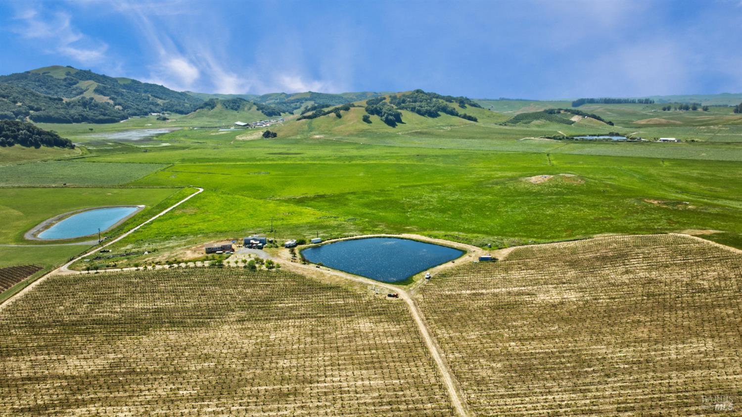 Detail Gallery Image 37 of 40 For 2590 Chileno Valley Rd, Petaluma,  CA 94952 - – Beds | – Baths