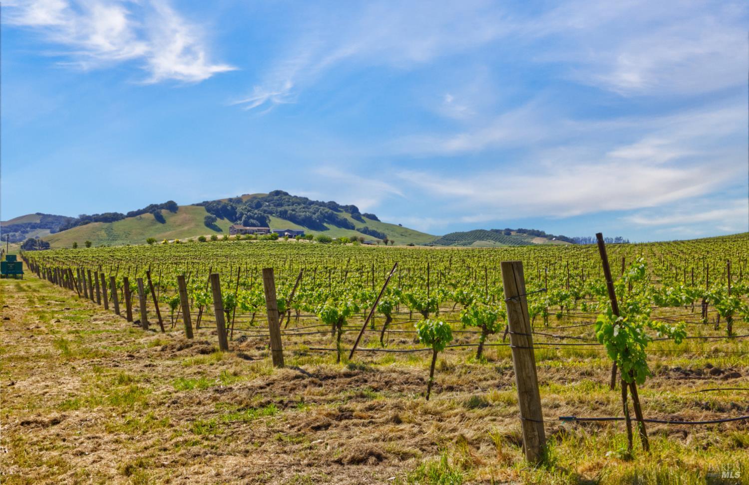 Detail Gallery Image 8 of 40 For 2590 Chileno Valley Rd, Petaluma,  CA 94952 - – Beds | – Baths