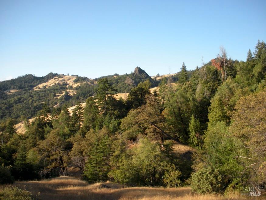 Detail Gallery Image 38 of 41 For 5080 Yellow Star Rd, Leggett,  CA 95585 - – Beds | – Baths