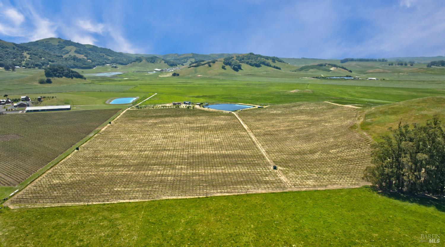 Detail Gallery Image 36 of 40 For 2590 Chileno Valley Rd, Petaluma,  CA 94952 - – Beds | – Baths
