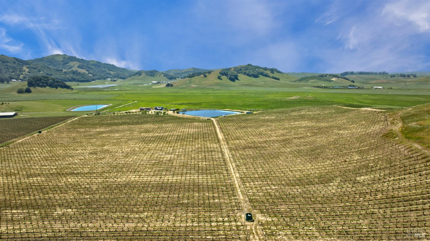 Detail Gallery Image 35 of 40 For 2590 Chileno Valley Rd, Petaluma,  CA 94952 - – Beds | – Baths