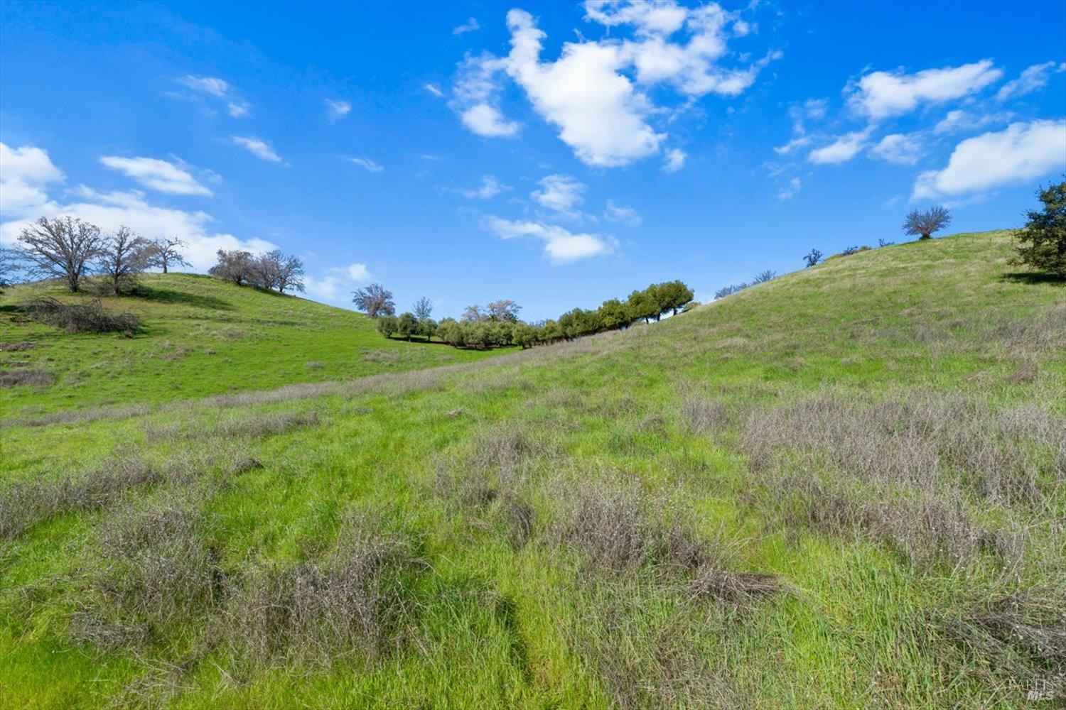 Detail Gallery Image 21 of 74 For 0 Campini Estates Dr, Vacaville,  CA 95688 - – Beds | – Baths