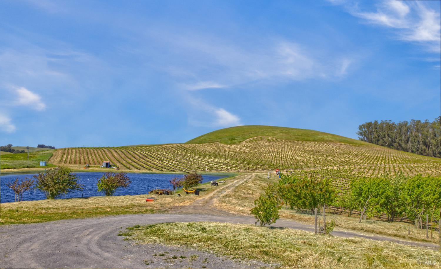 Detail Gallery Image 7 of 40 For 2590 Chileno Valley Rd, Petaluma,  CA 94952 - – Beds | – Baths