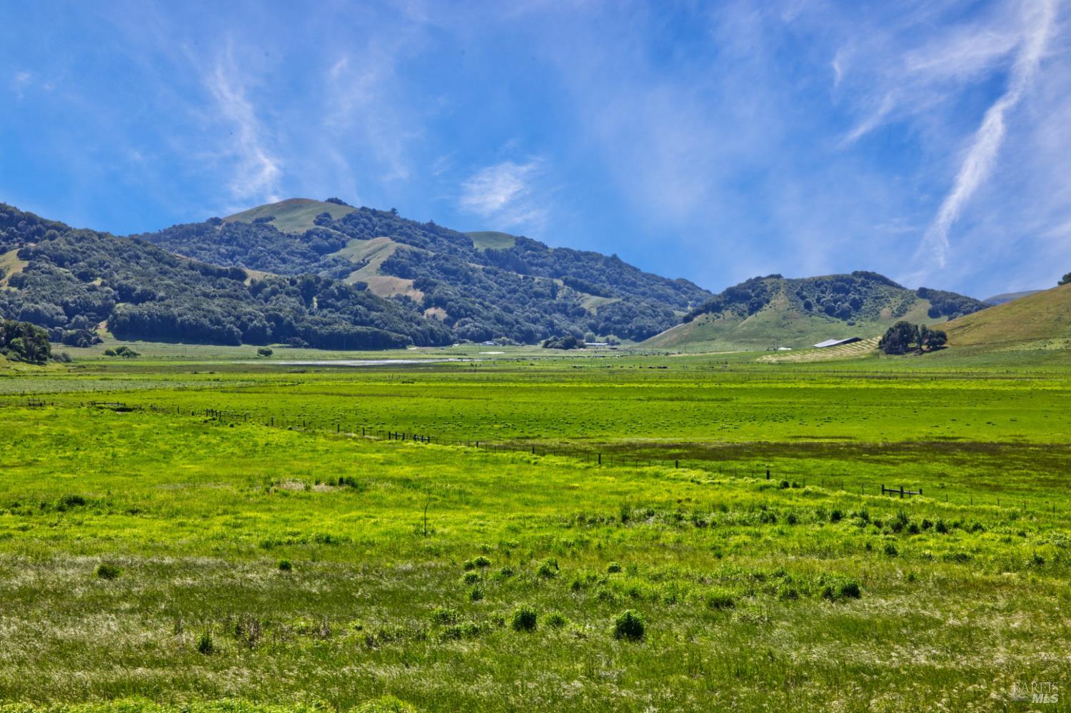 Detail Gallery Image 14 of 40 For 2590 Chileno Valley Rd, Petaluma,  CA 94952 - – Beds | – Baths